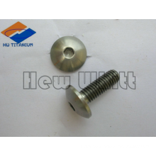 high end Ti6AI4V hex socket button screws